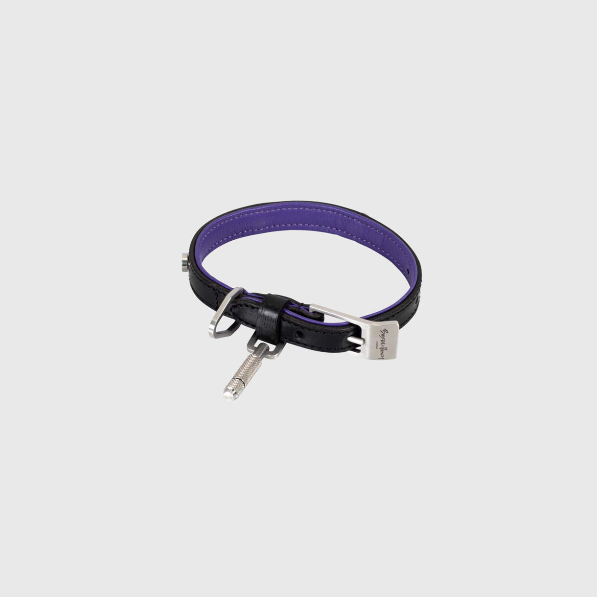 Dog Collar, Small, Steel