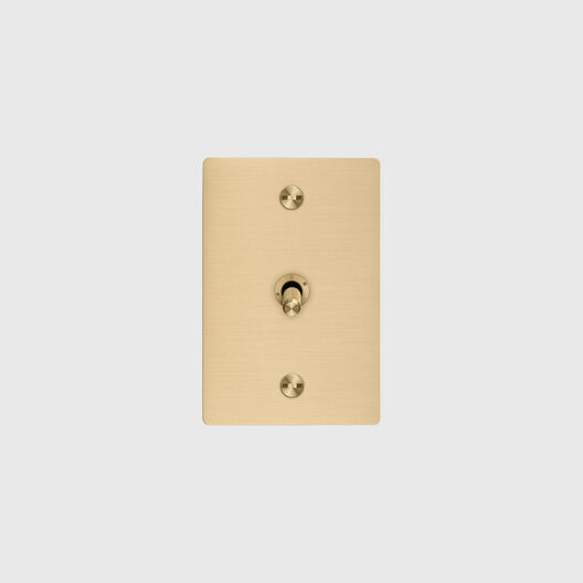 1G Toggle Switch, Cross, Vertical
