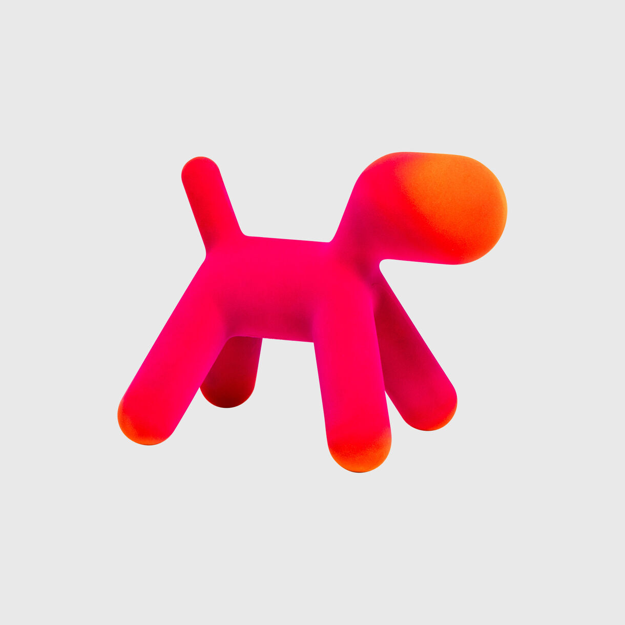 Puppy Velvet, Fuchsia/Orange
