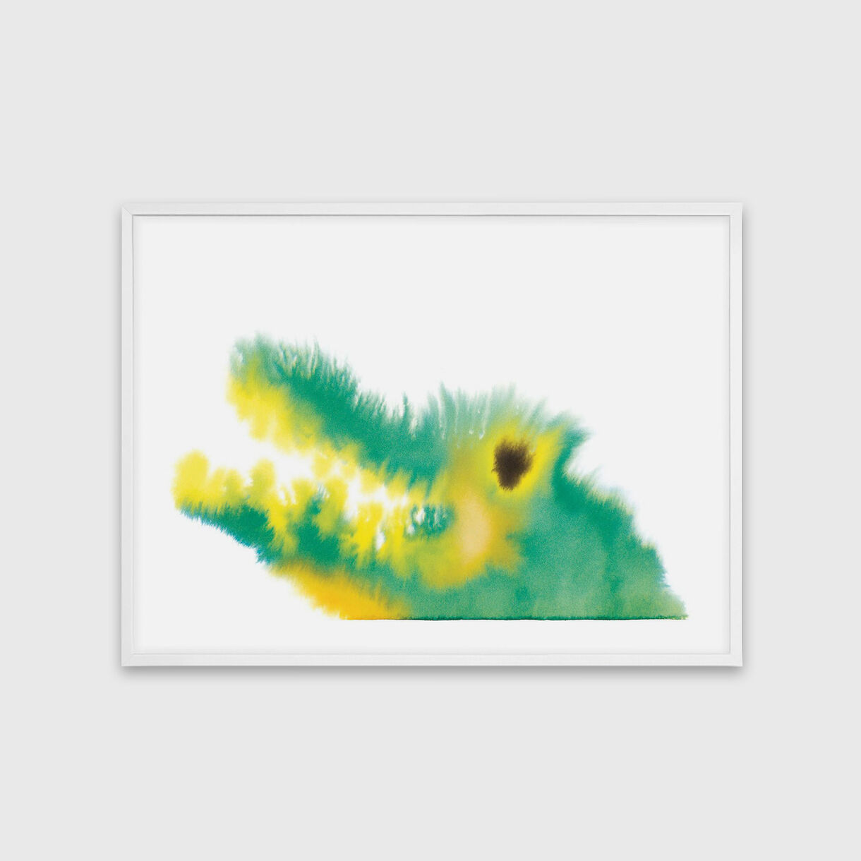 Crocodile, White Frame