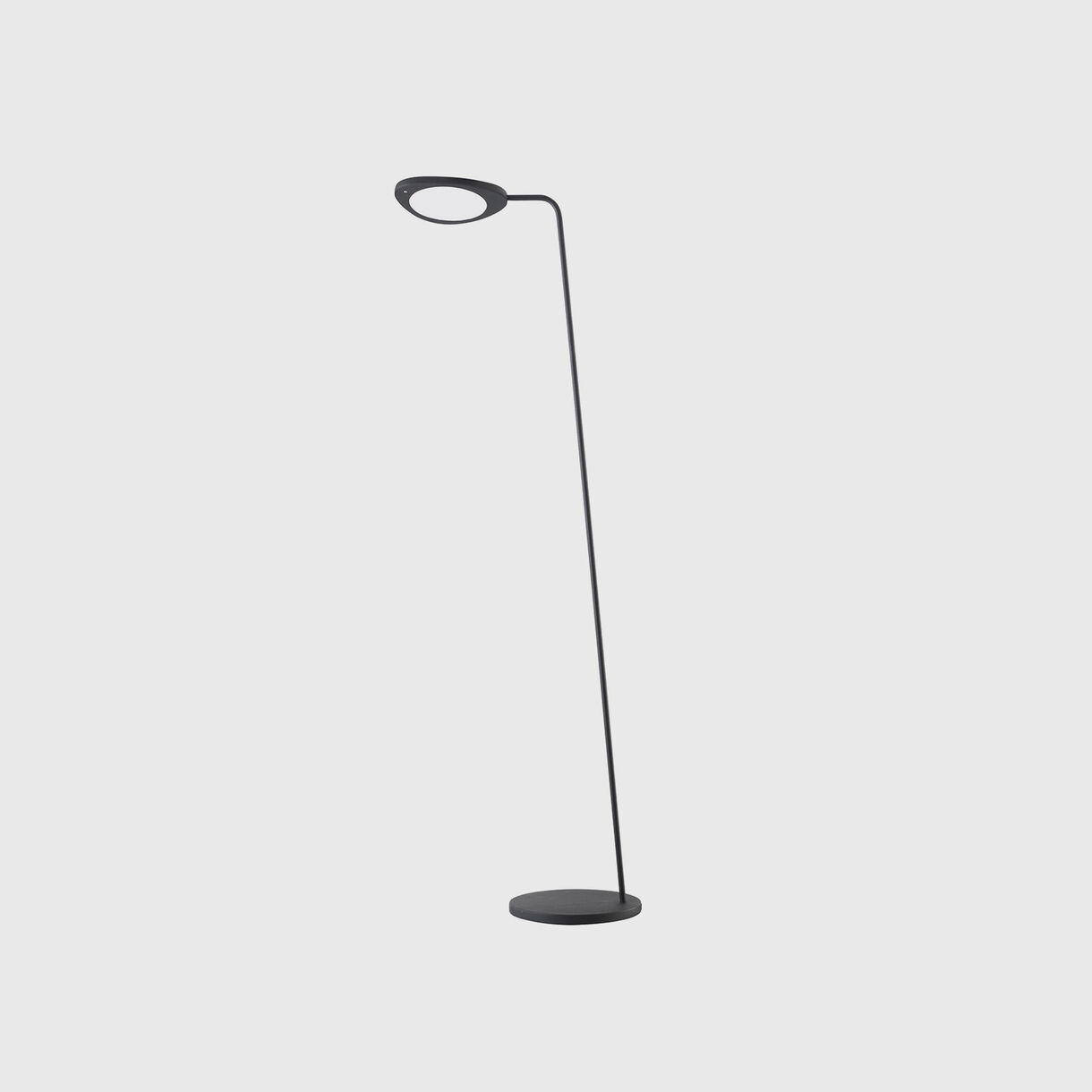 Leaf Floor Lamp, Black