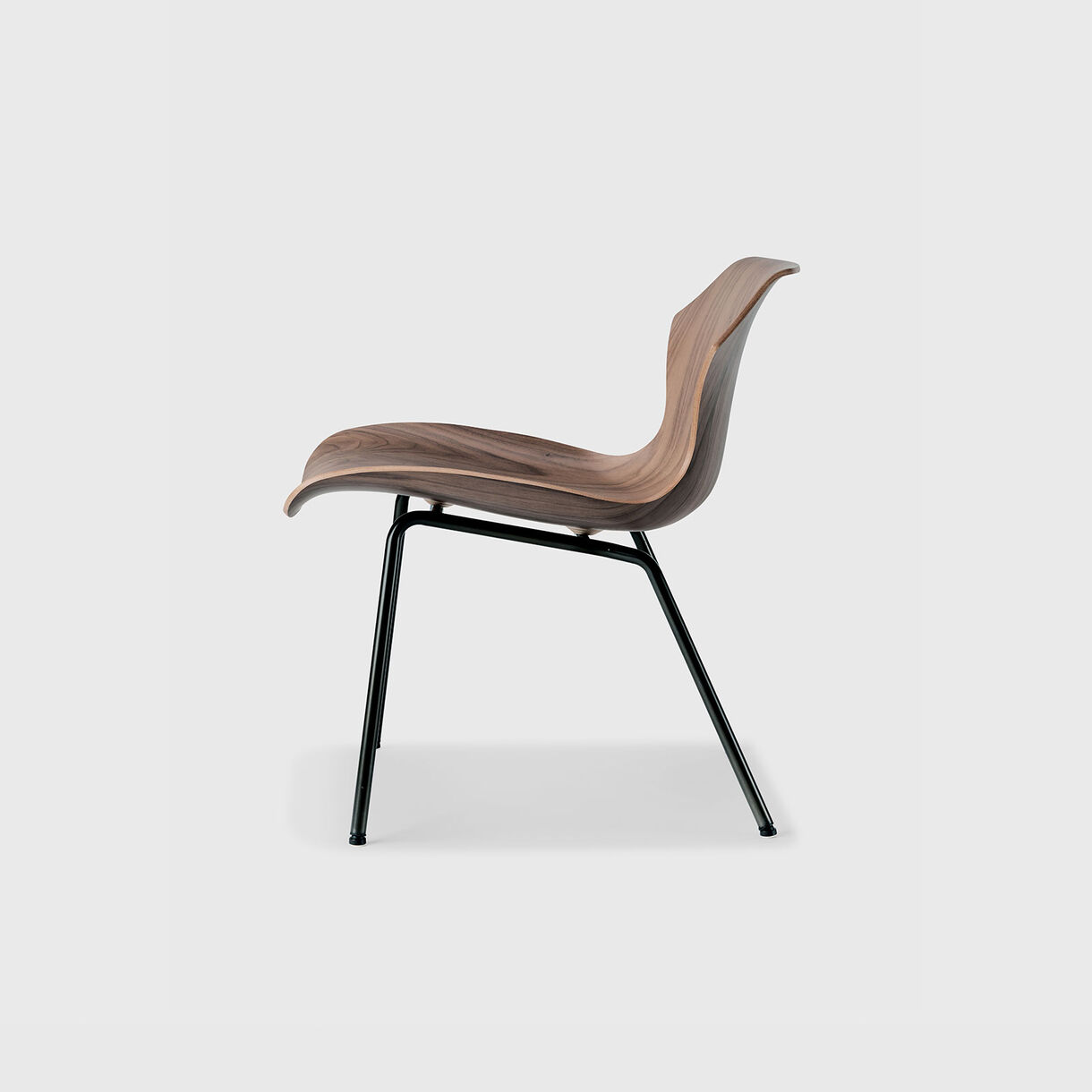 Petal Metal Base Lounge Chair, Walnut