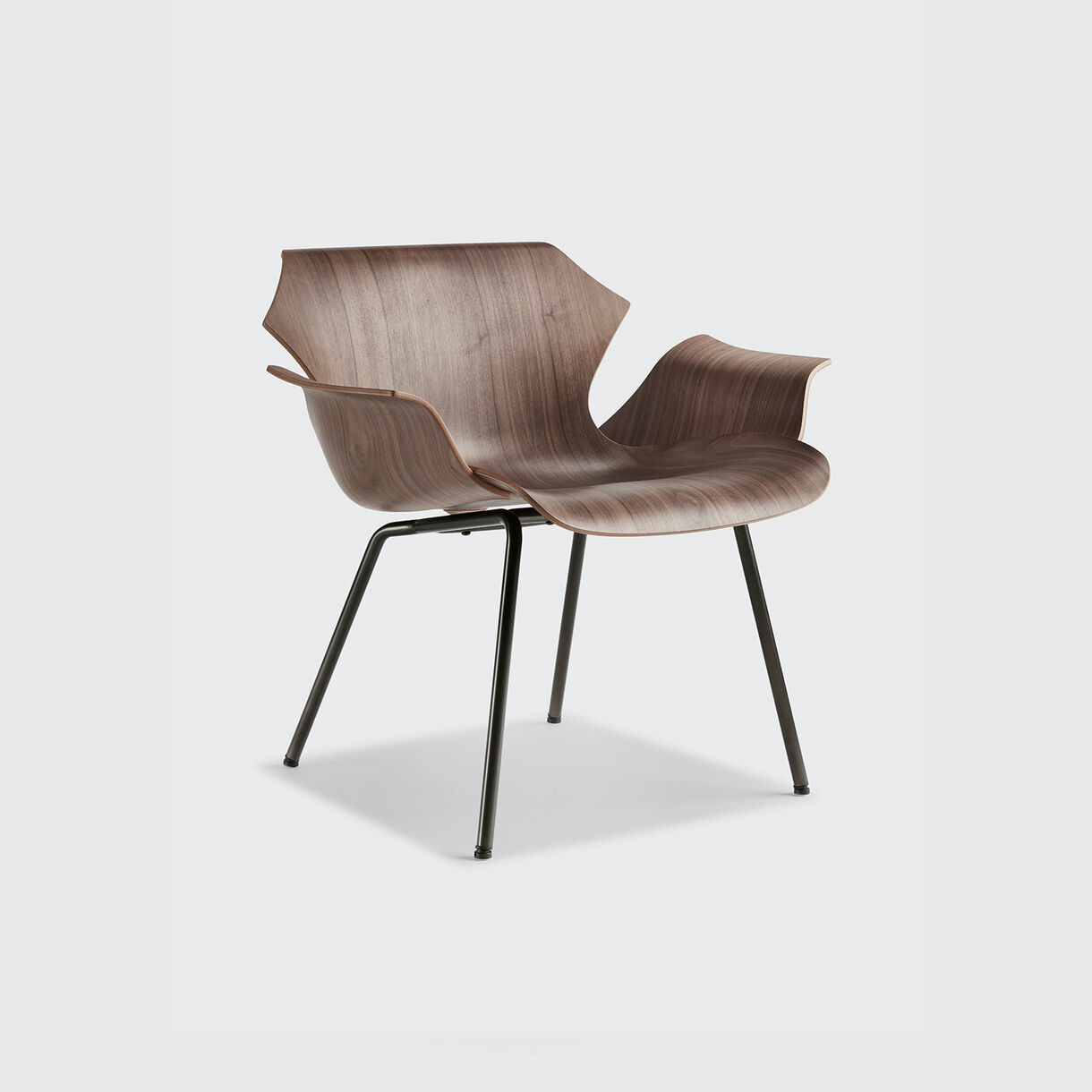 Petal Metal Base Lounge Armchair, Raw Oak