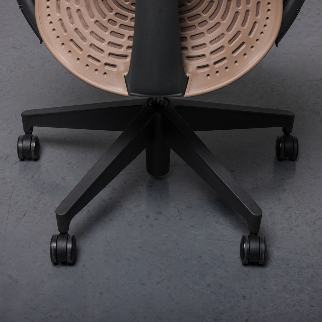Mirra 2 Task Chair, Graphite, Cappuccino
