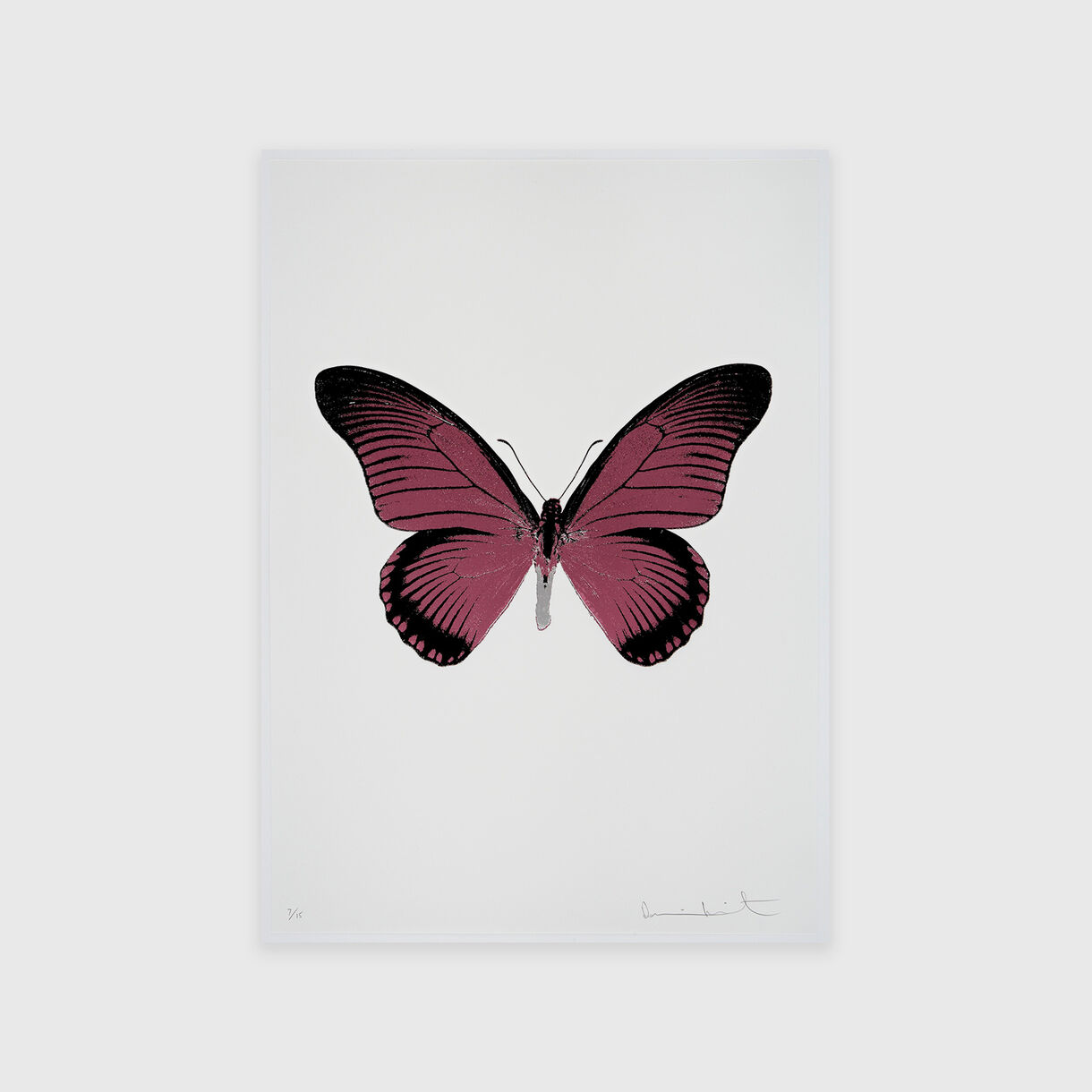 The Souls IV – Loganberry Pink, Raven Black, Silver Gloss, Damien Hirst