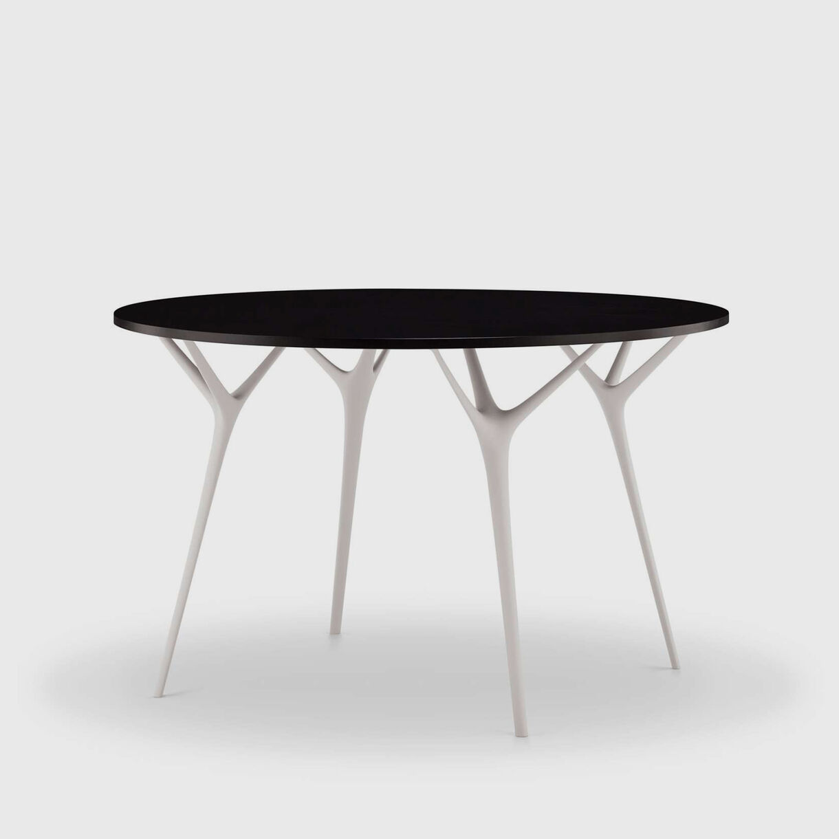 Stellarnova Round Table