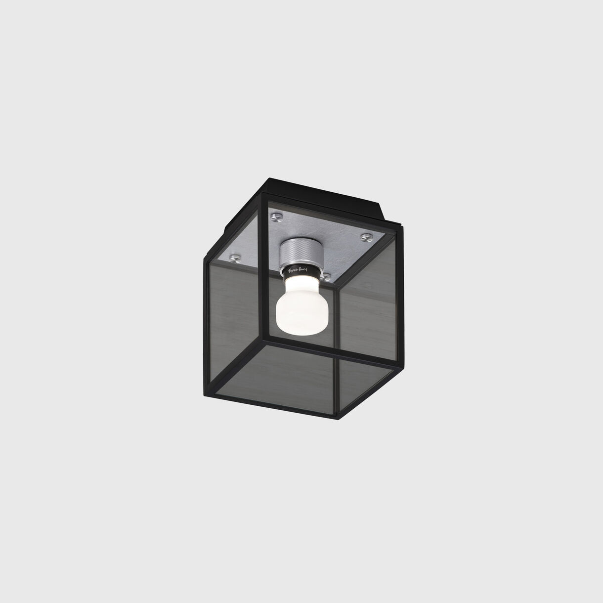 Caged Wet Ceiling & Wall Lamp, Steel