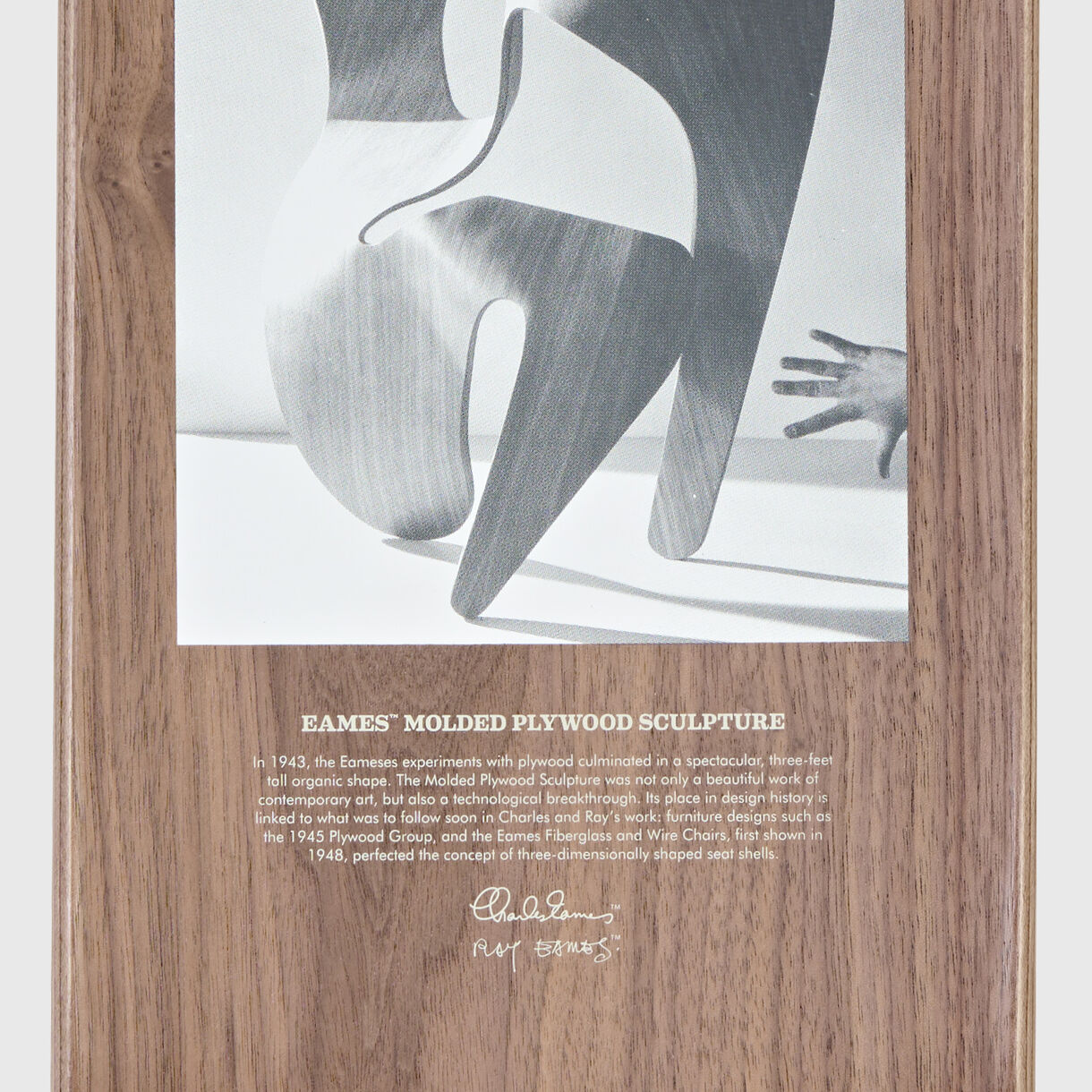 Eames Silhouette Deck - Plywood Sculpture