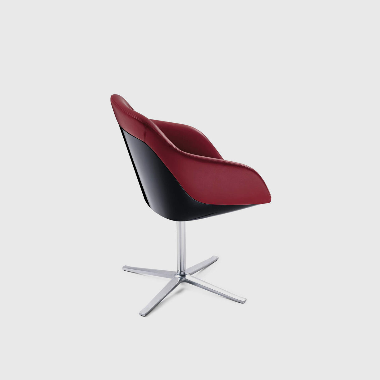 Turtle Chair