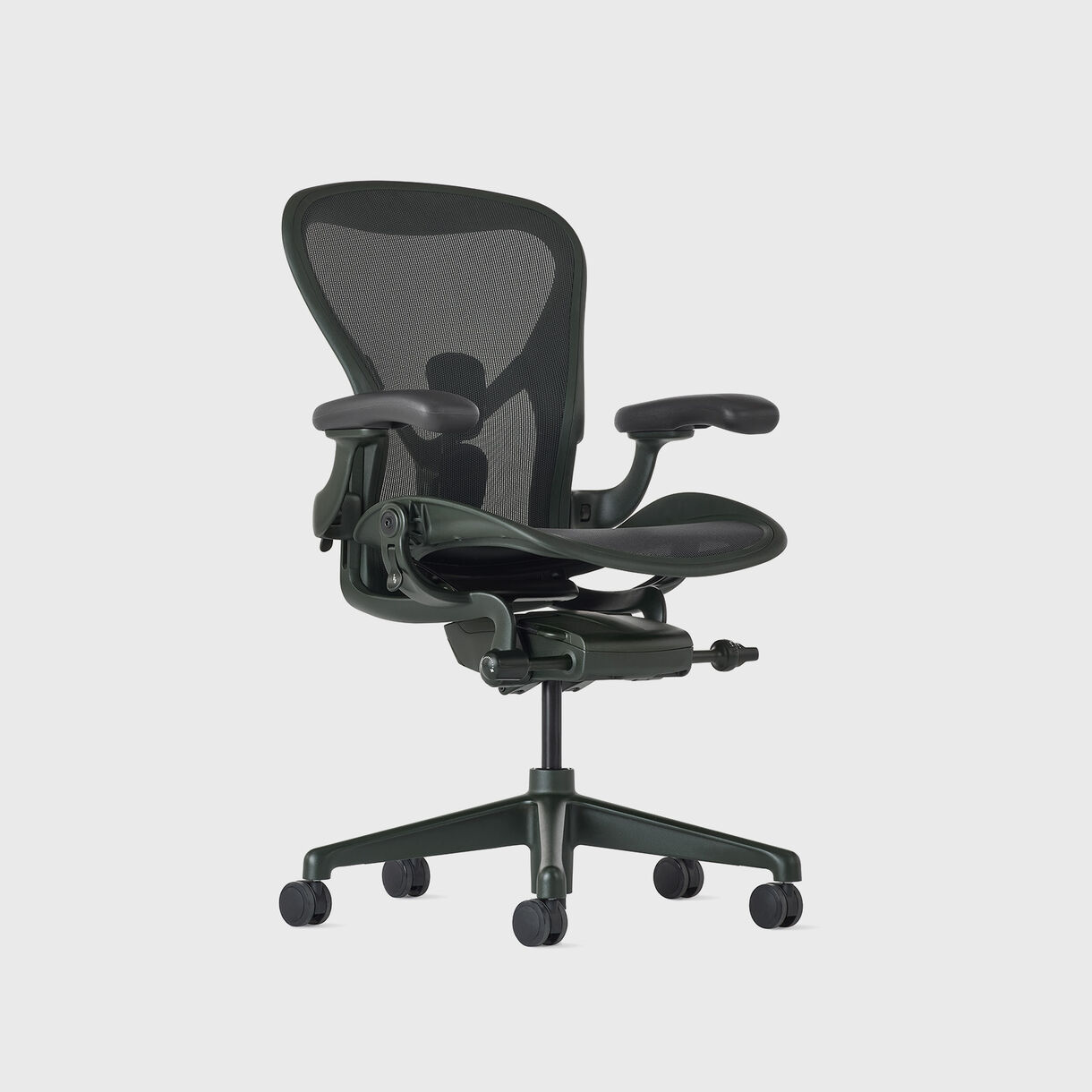 Aeron Jasper Size A, Side