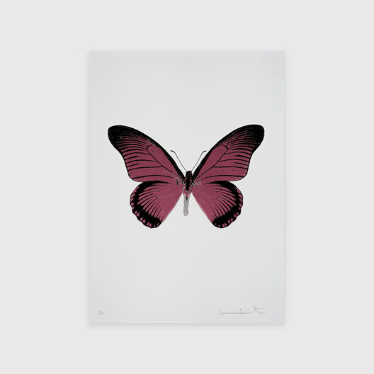 The Souls IV &ndash; Loganberry Pink / Raven Black / Silver Gloss (2010) - Damien Hirst