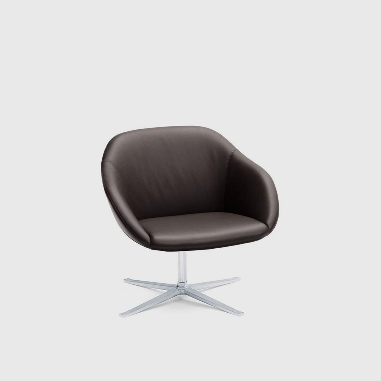 Turtle Lounge Chair