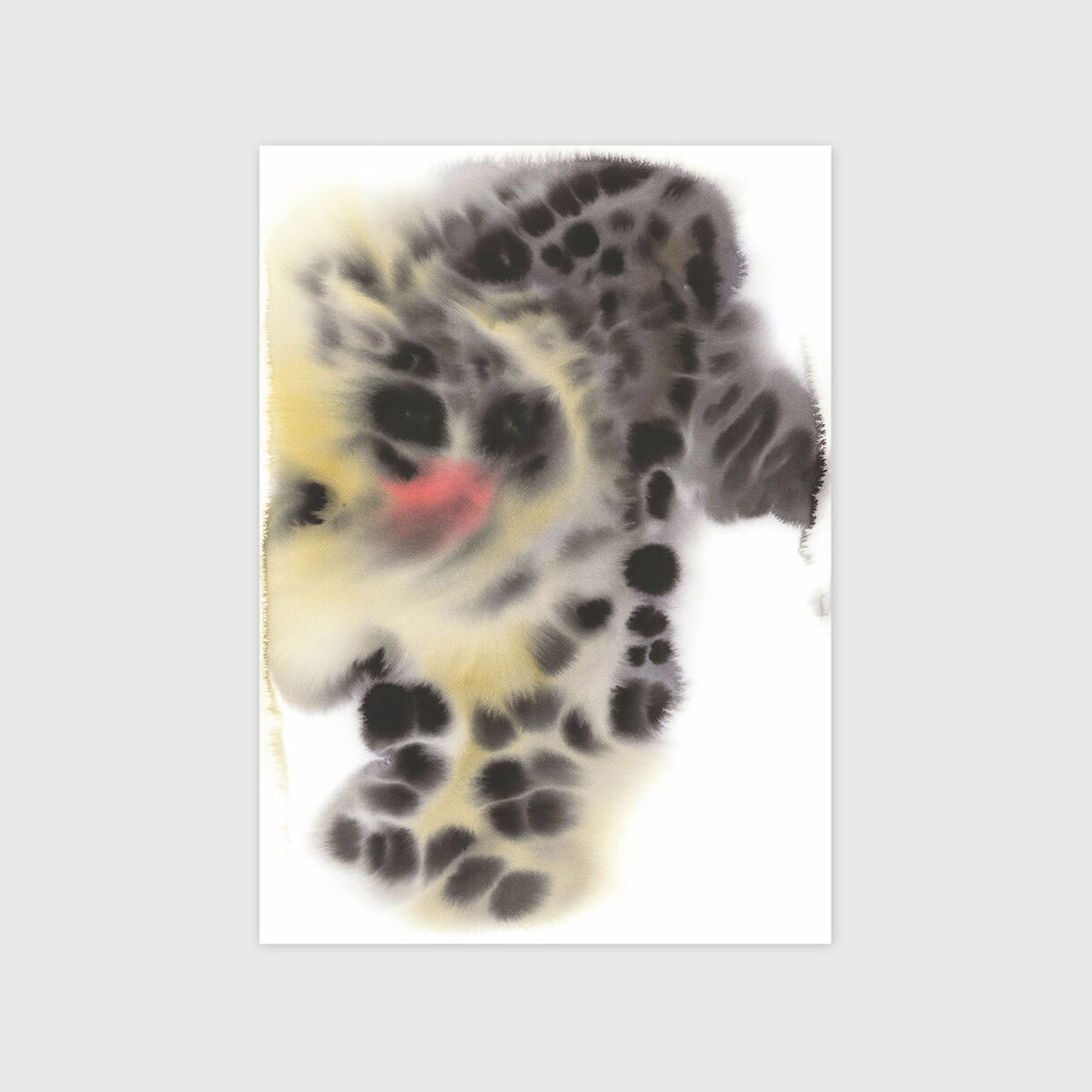 Snow Leopard