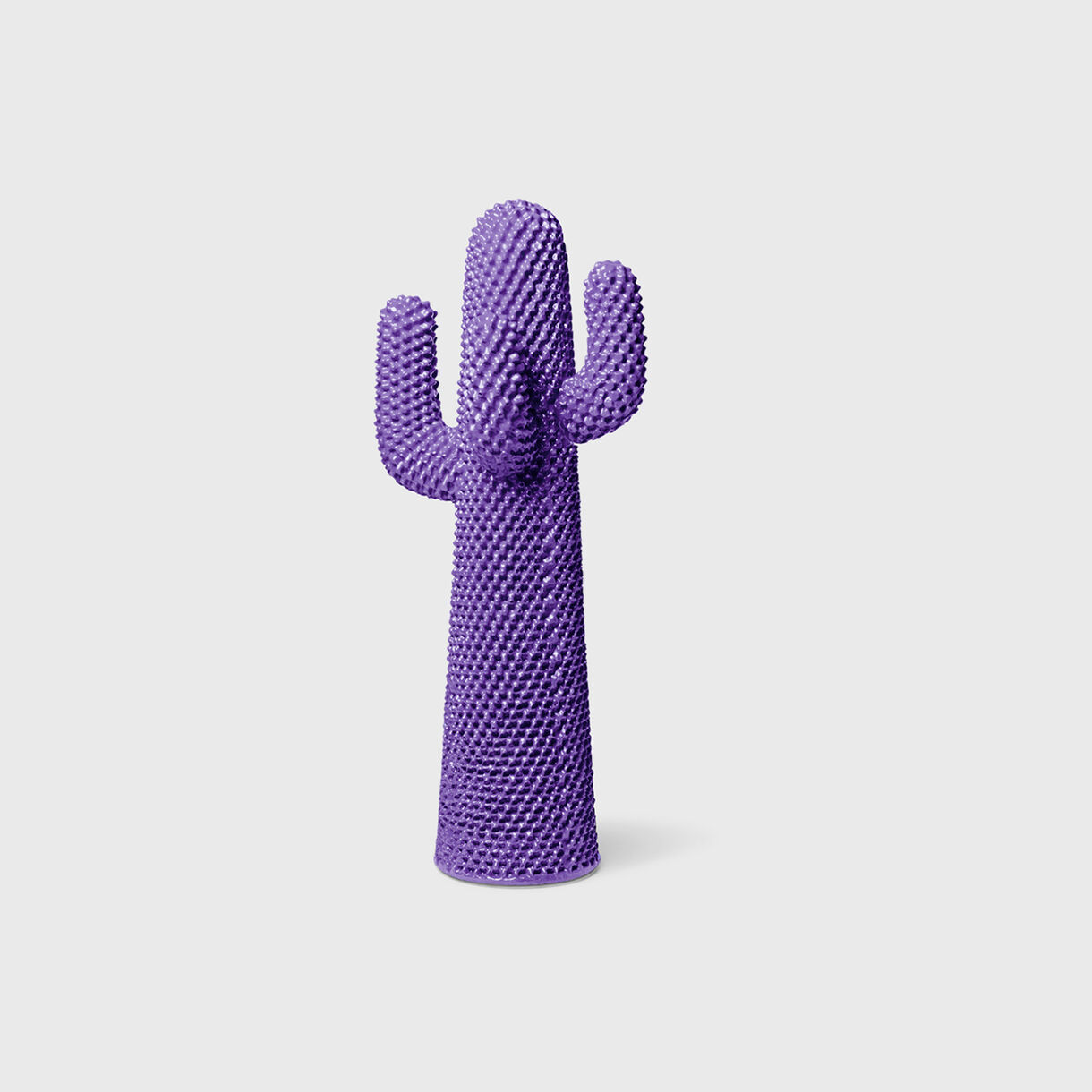 Cactus Ultraviolet