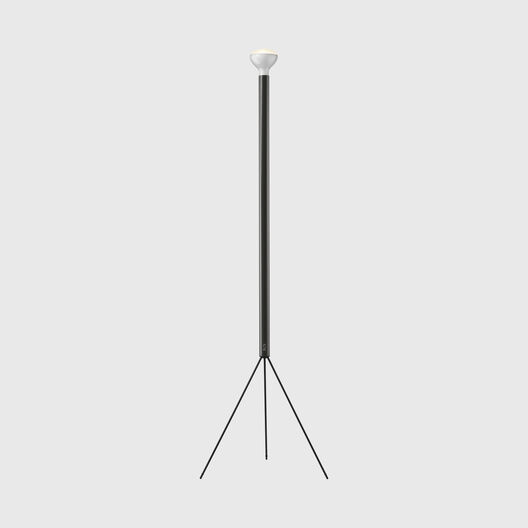 Luminator Floor Lamp, Anthracite