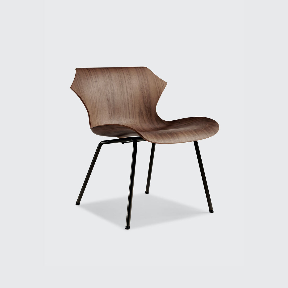Petal Metal Base Lounge Chair, Walnut