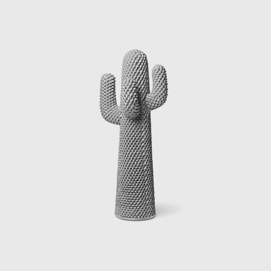 Boring Cactus