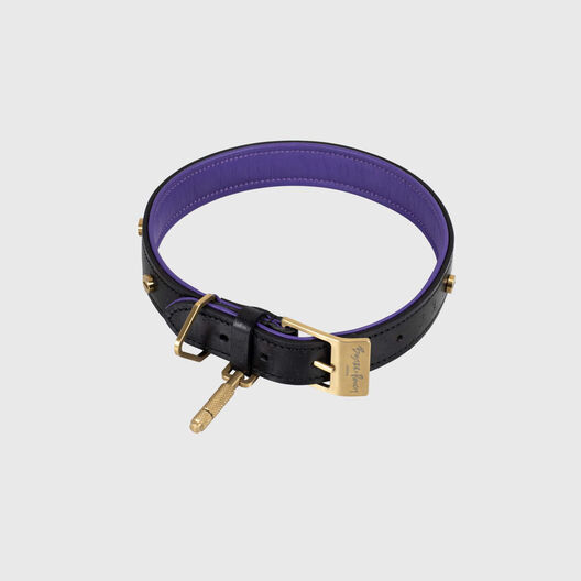 Dog Collar