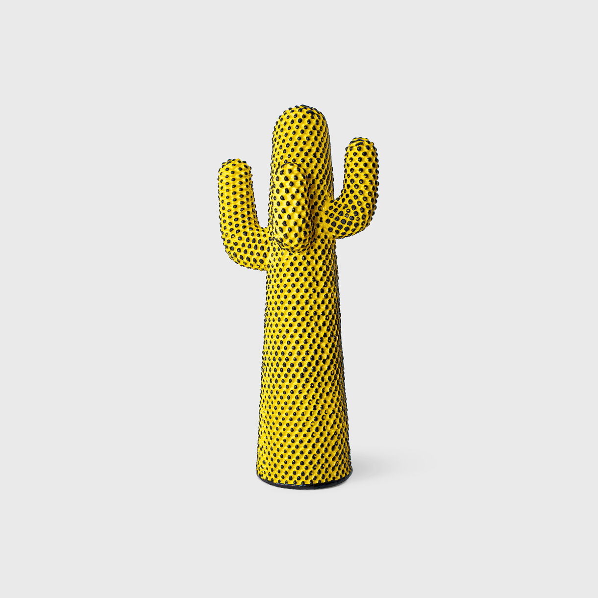 Andy's Cactus, Yellow