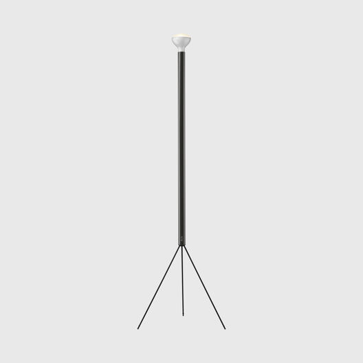 Luminator Floor Lamp, Anthracite