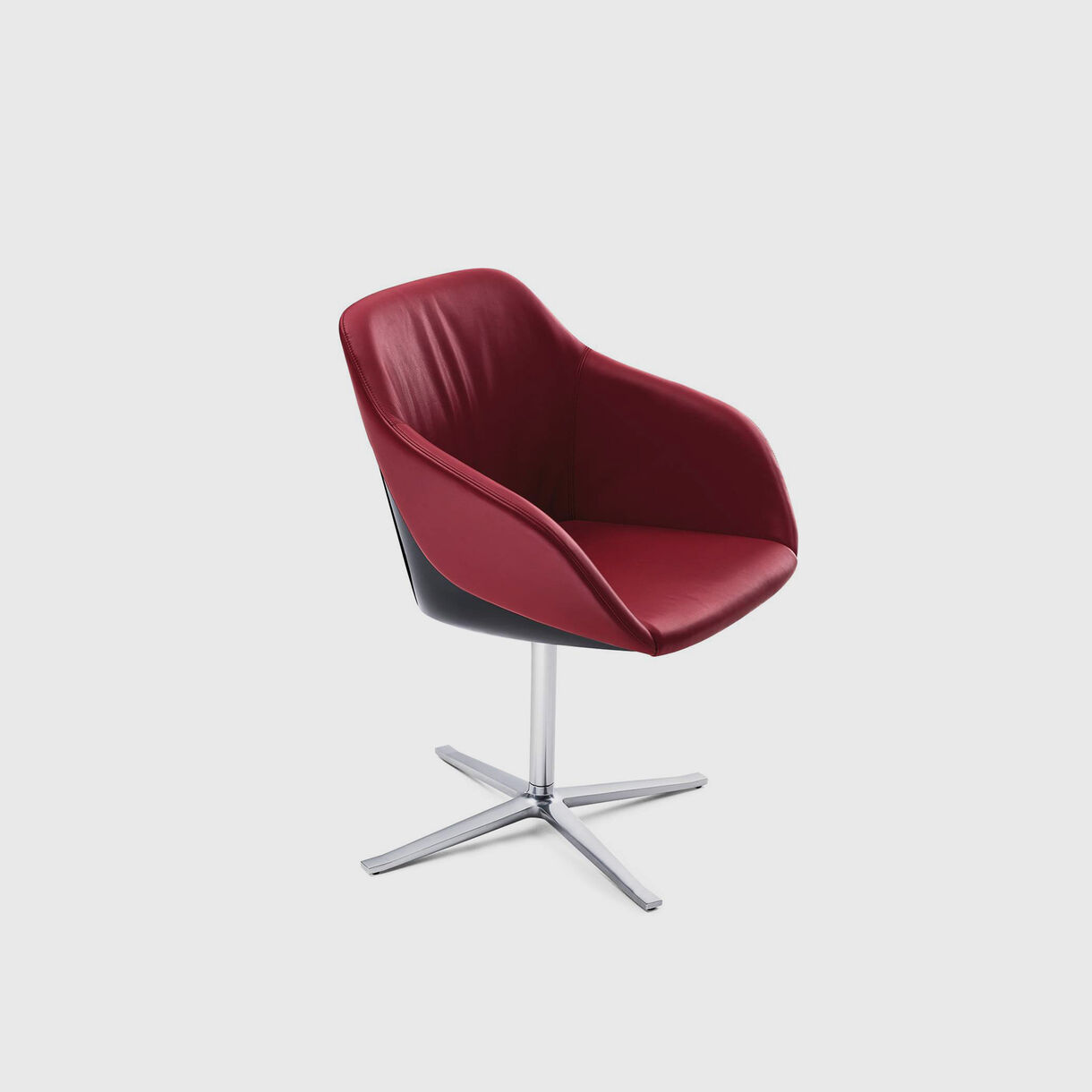 Turtle Chair
