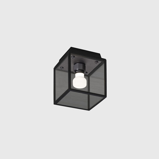 Caged Wet Ceiling & Wall Lamp