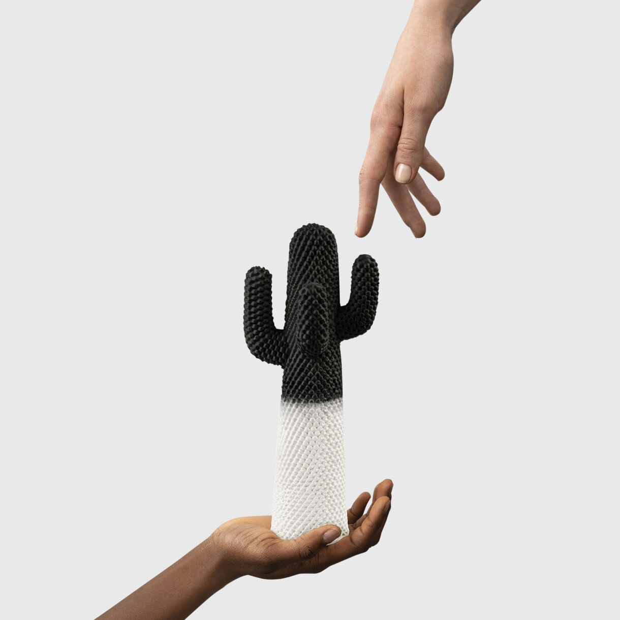 Guframini Juventus Cactus