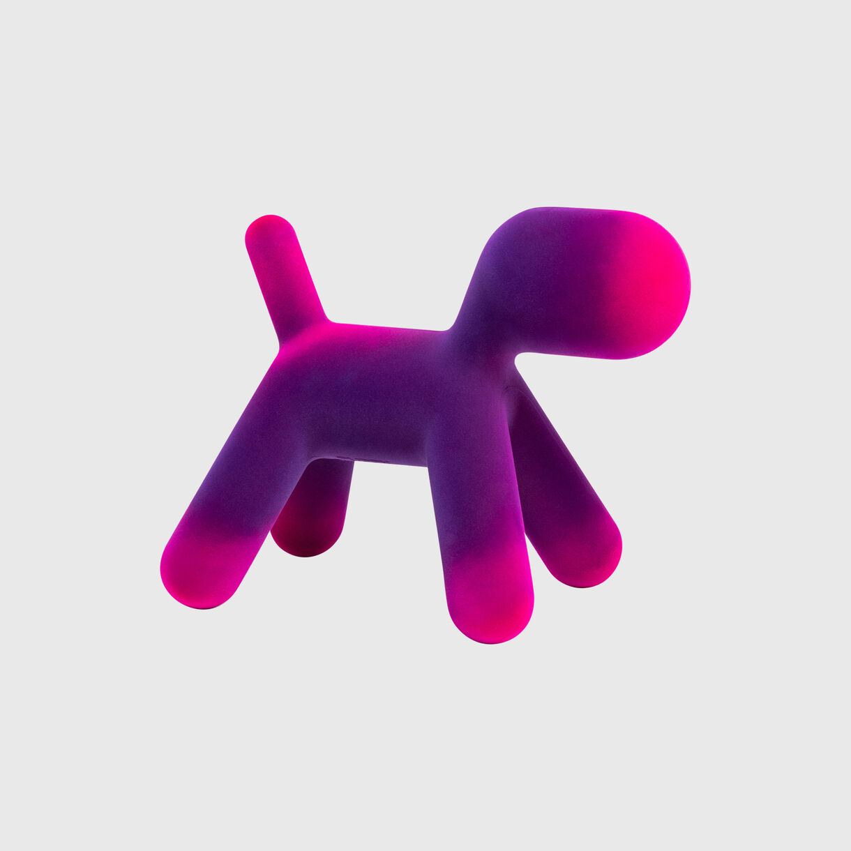 Puppy Velvet, Violet/Fuchsia