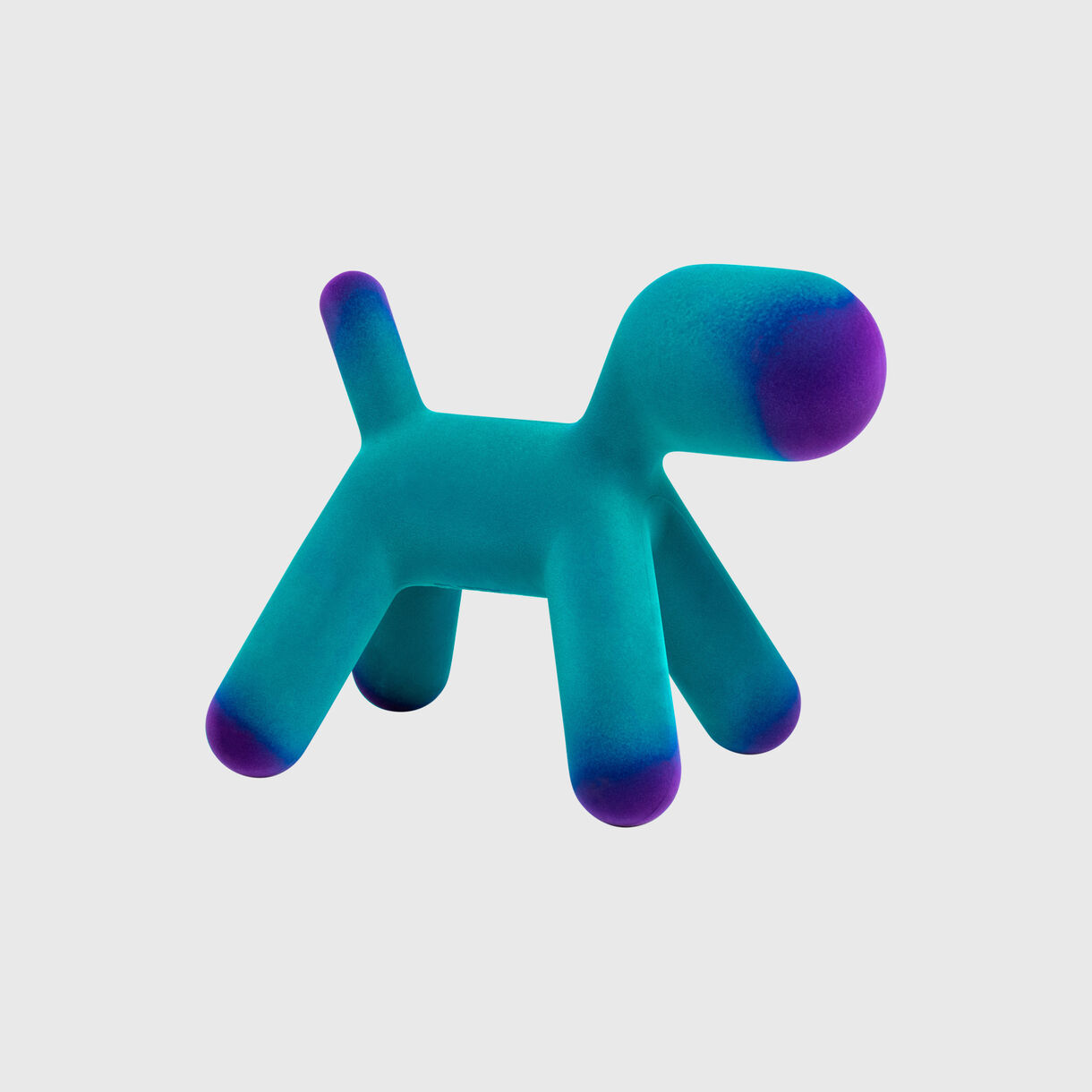 Puppy Velvet, Turquoise/Violet