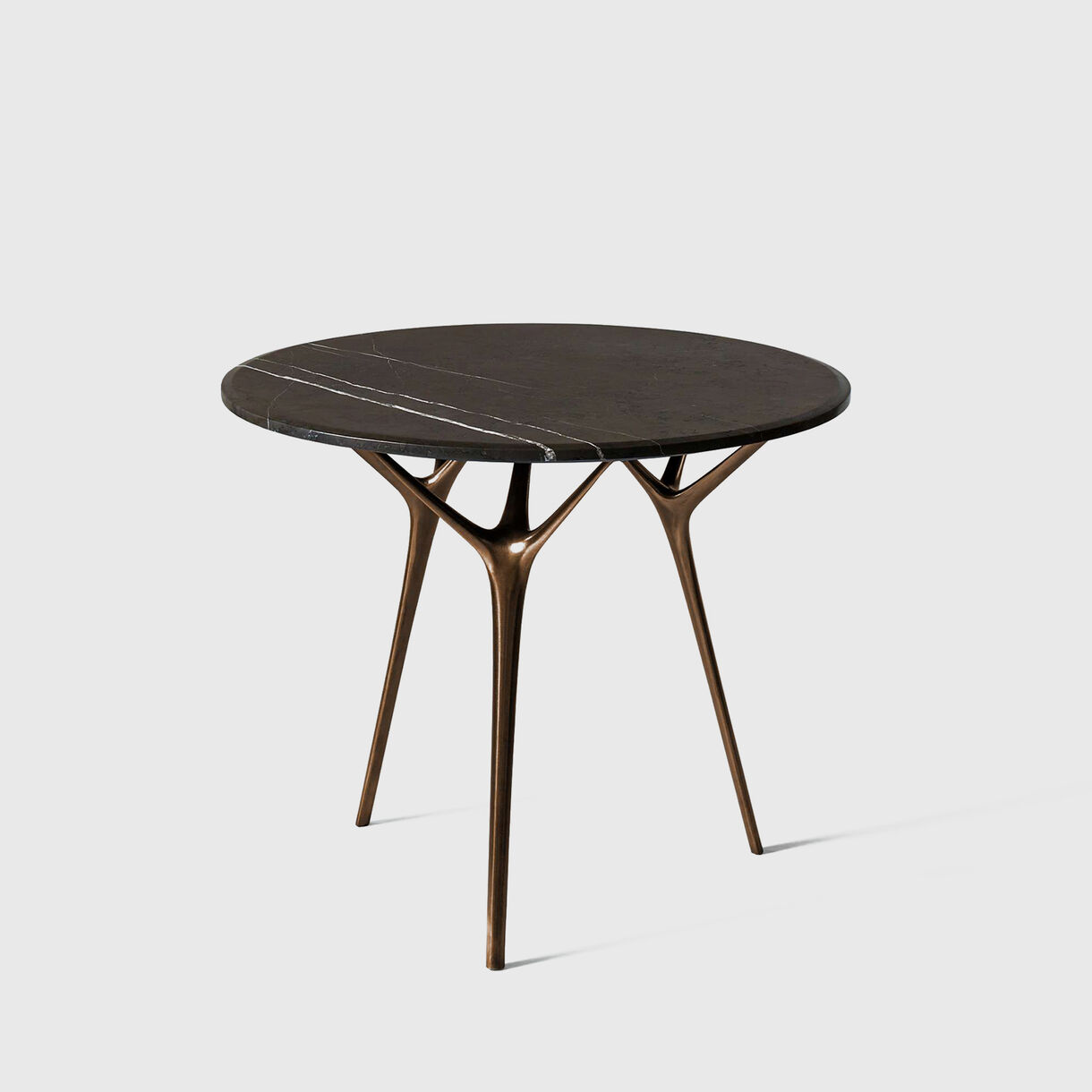 Stellarnova Round Table