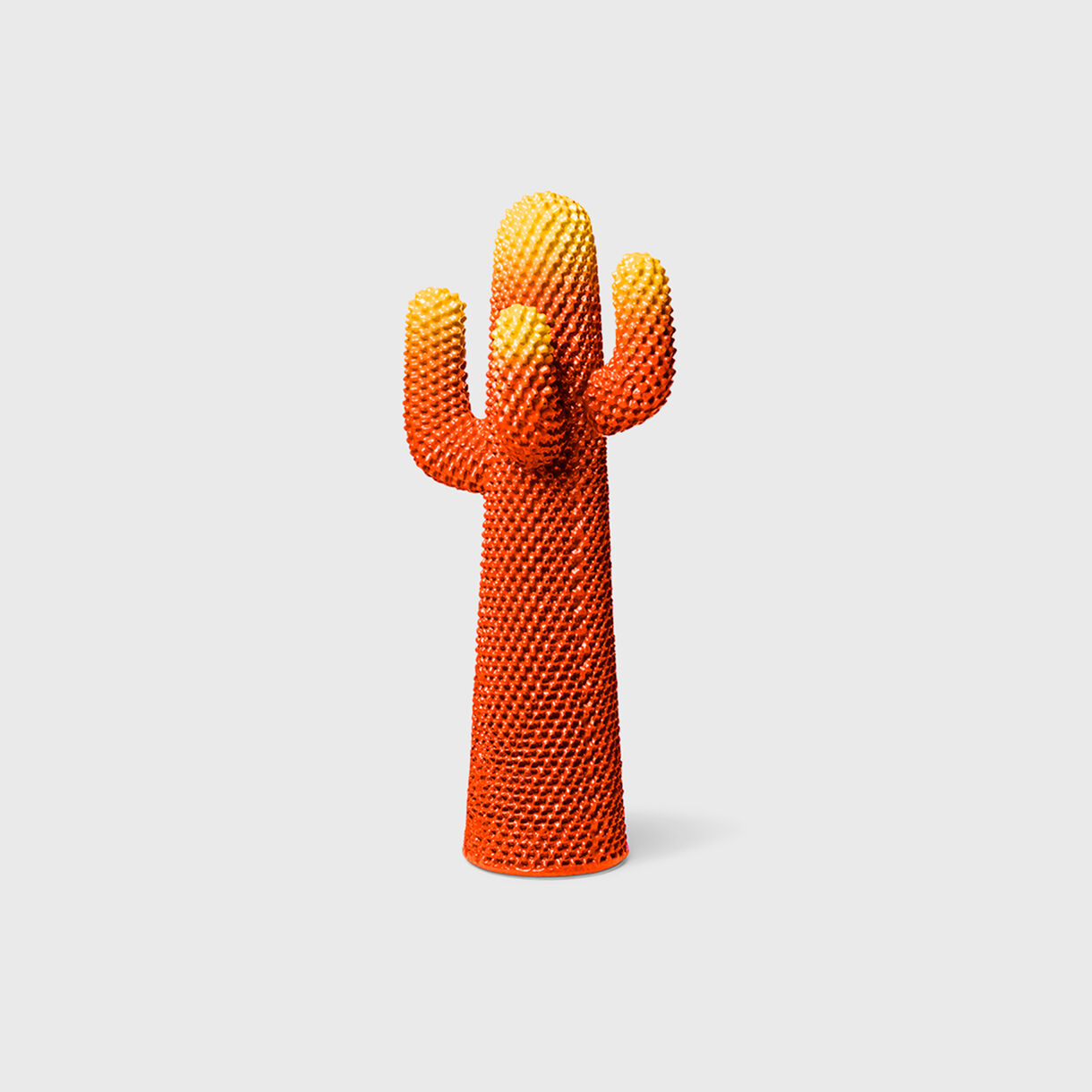 Cactus Infrared
