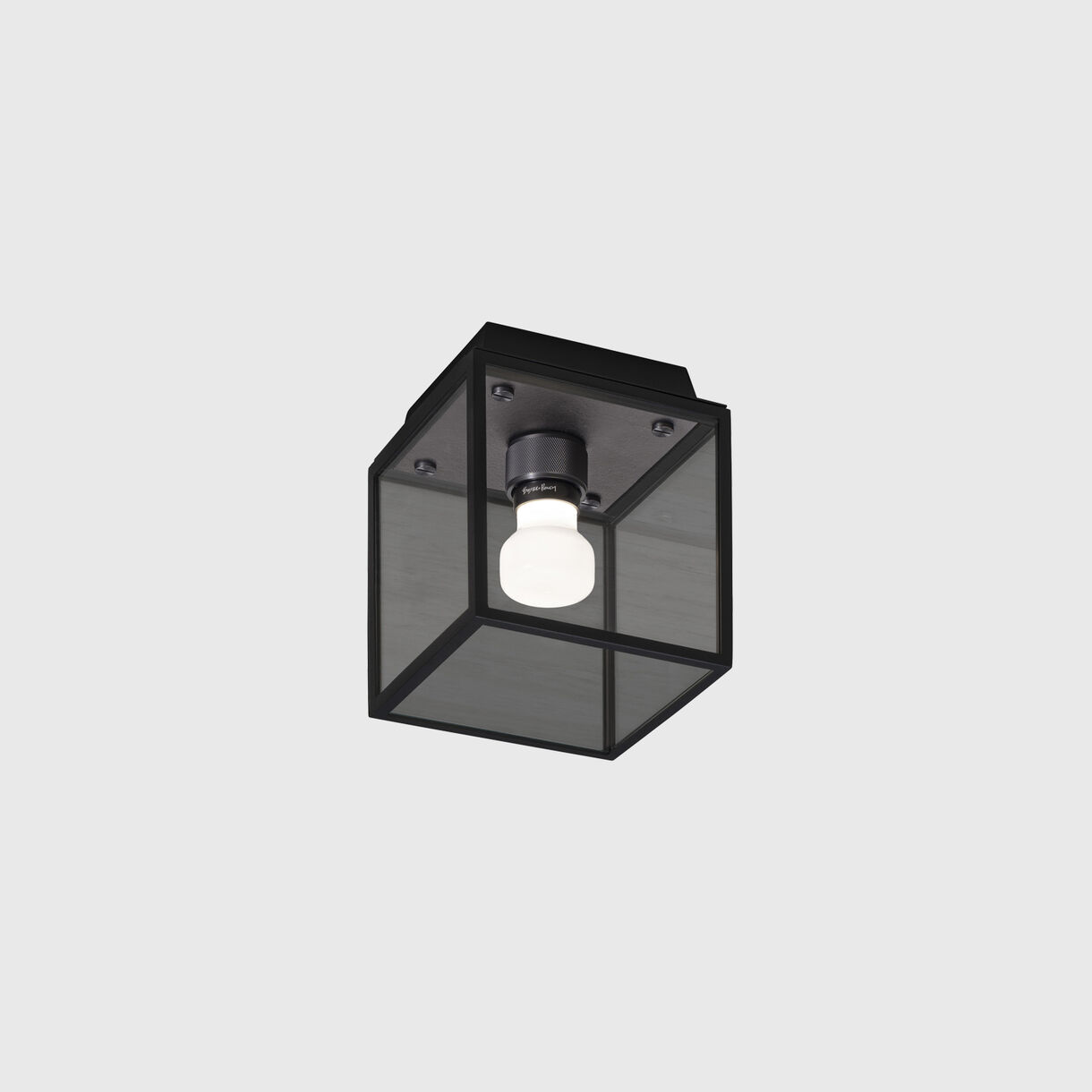 Caged Wet Ceiling & Wall Lamp, Gun Metal