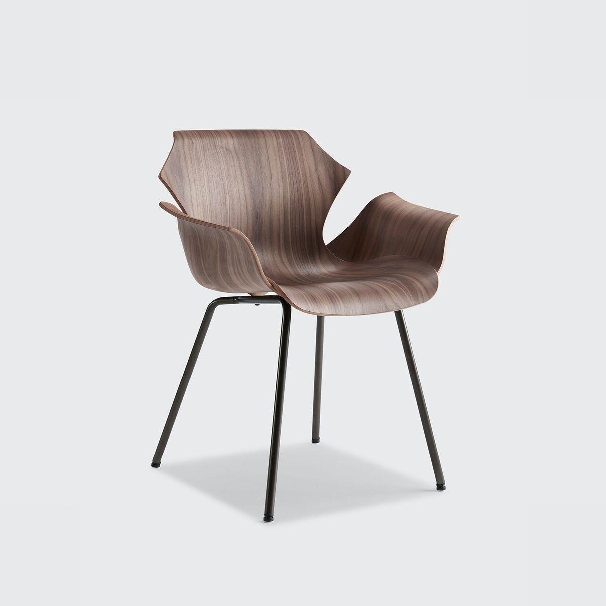 Petal Metal Base Armchair, Walnut