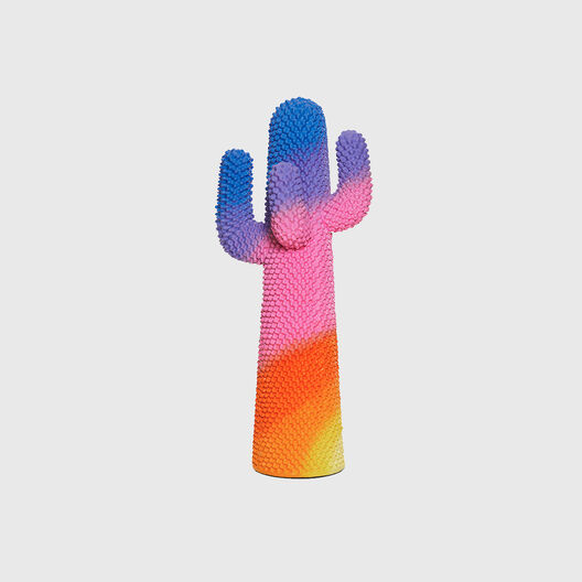 Sunrise Cactus