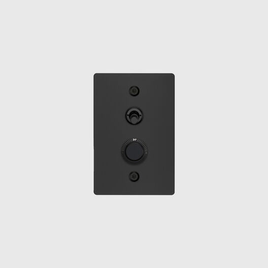 2G Toggle & Dimmer Switch, Vertical, Linear