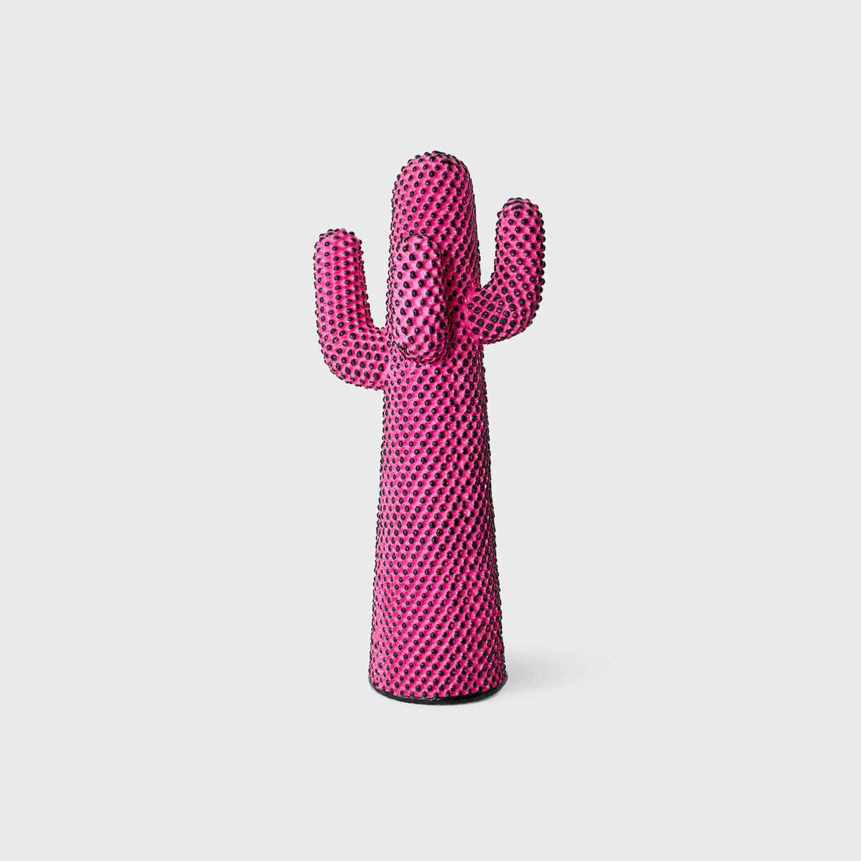 Andy's Cactus, Pink