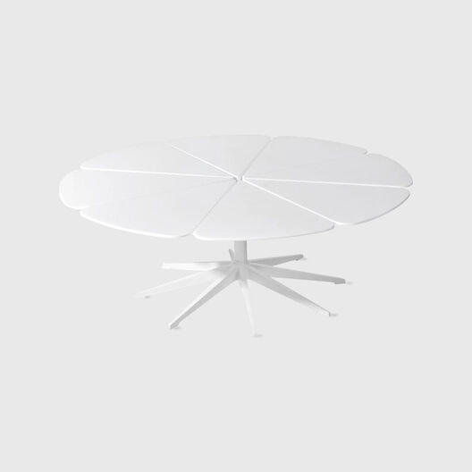 Petal Coffee Table