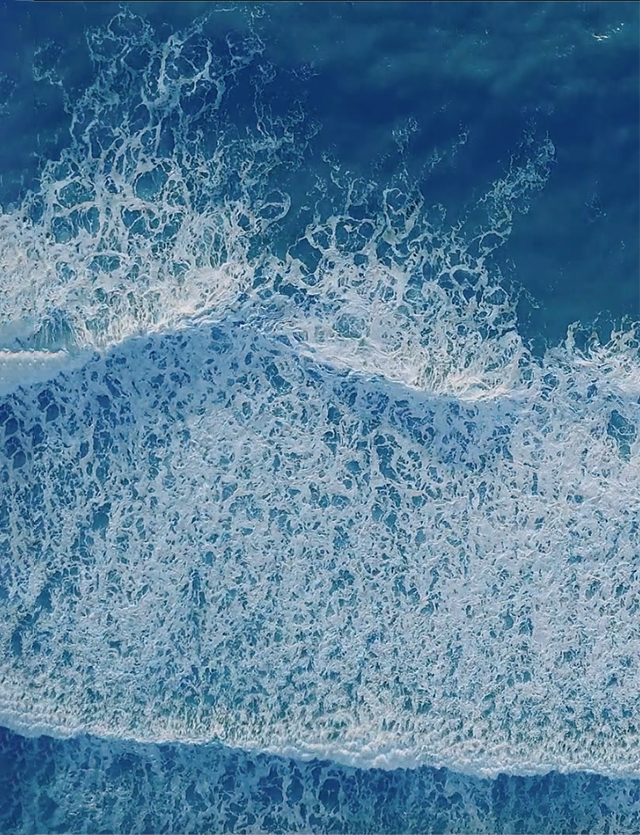 World Ocean Day