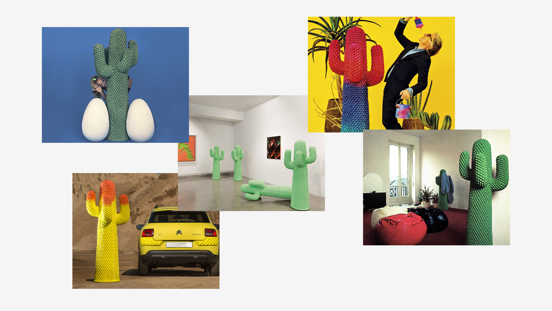 World Cactus Day
