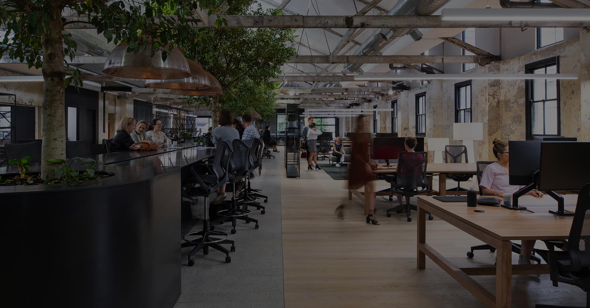 The Hayesbery, Sydney