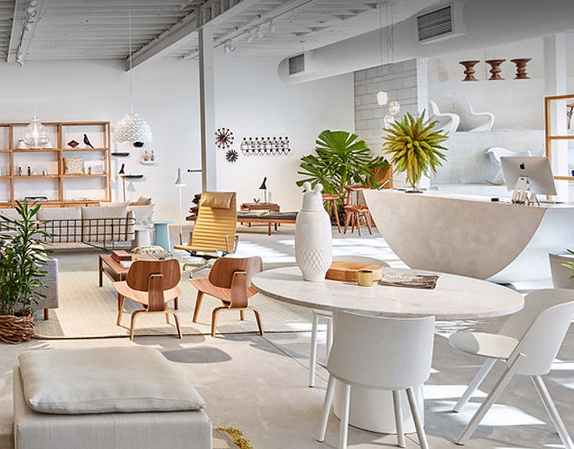 Living Edge Brisbane Gallery