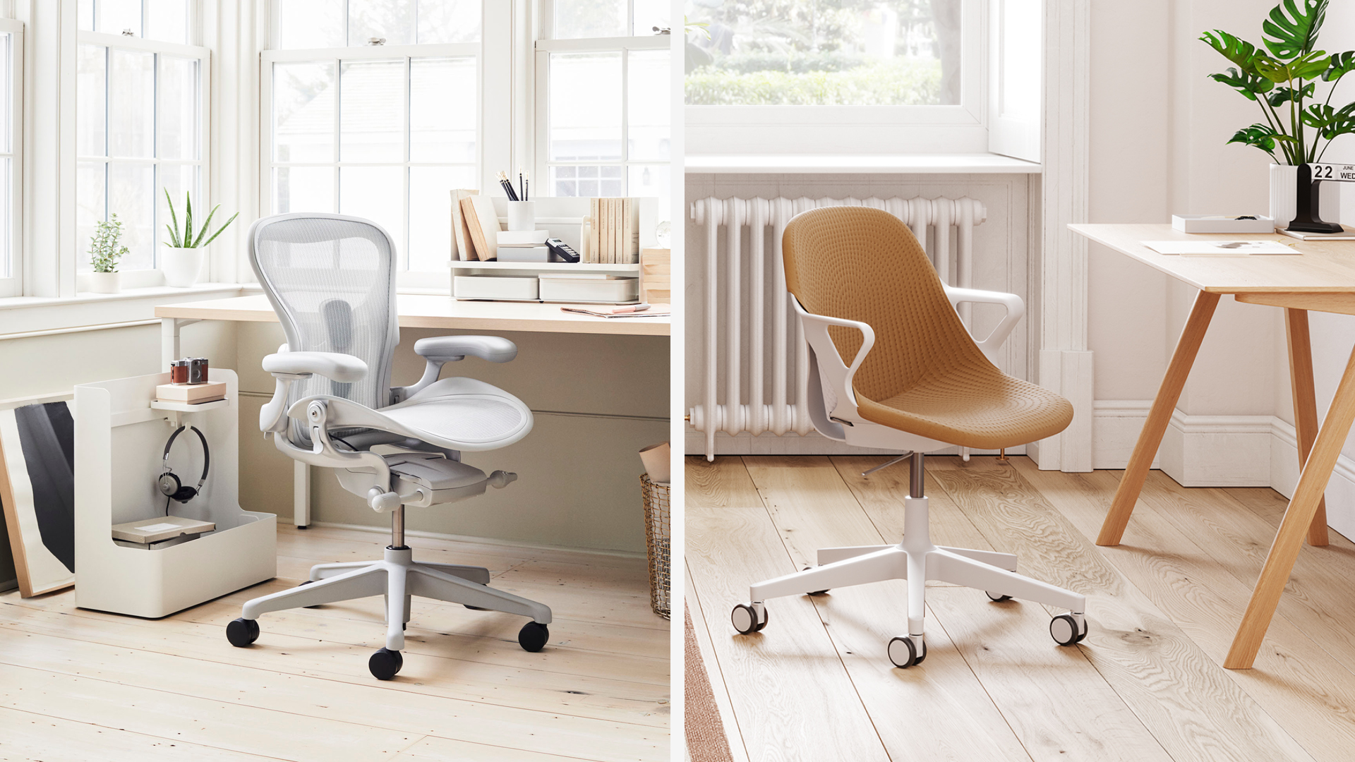 Aeron and Zeph by Herman Miller