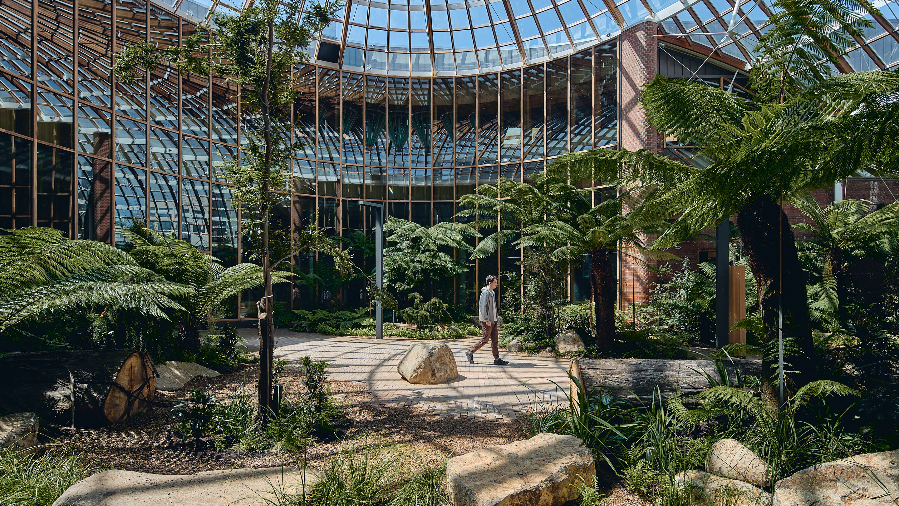 The Forest University of Tasmania campus interior