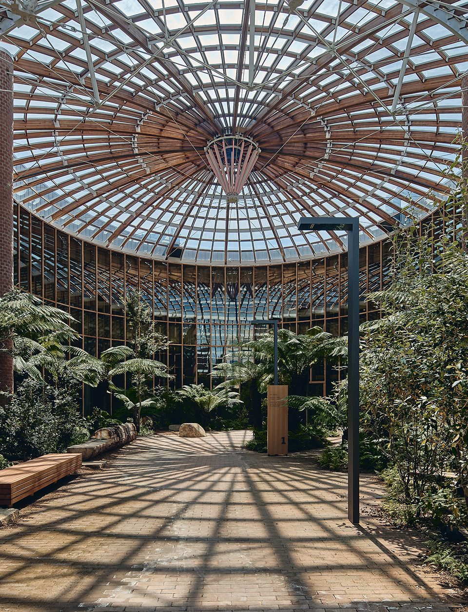 The Forest