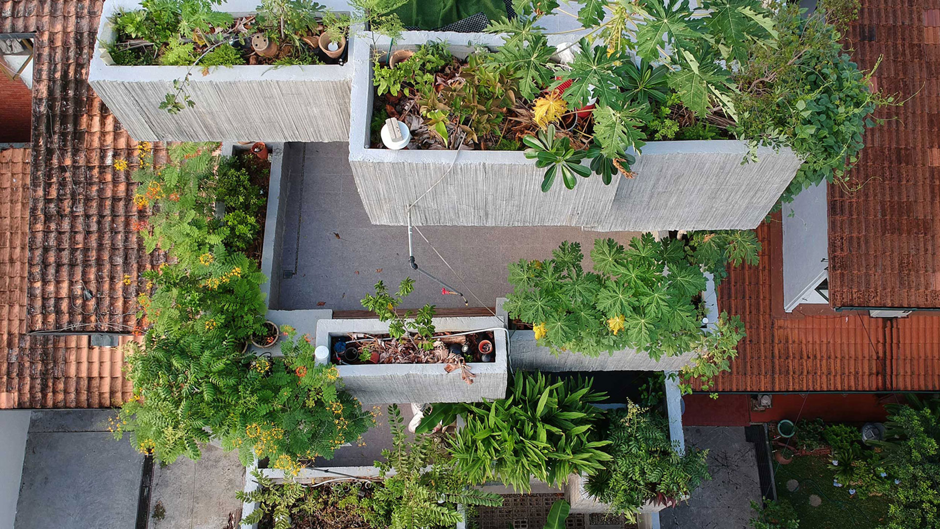 Planter Box House