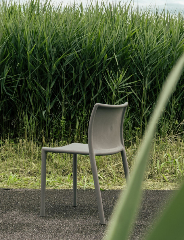 Celebrating BCorp Month