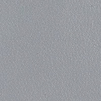 Platinum Gray Leather