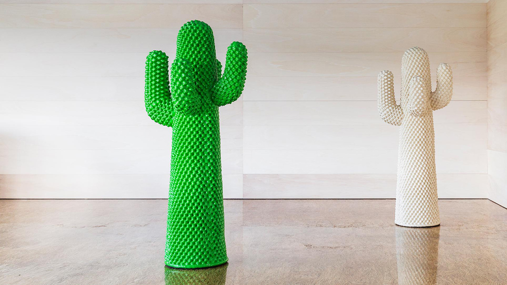 Cactus