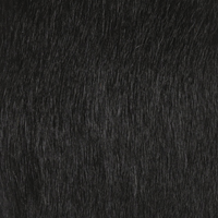 Black Haired Hide