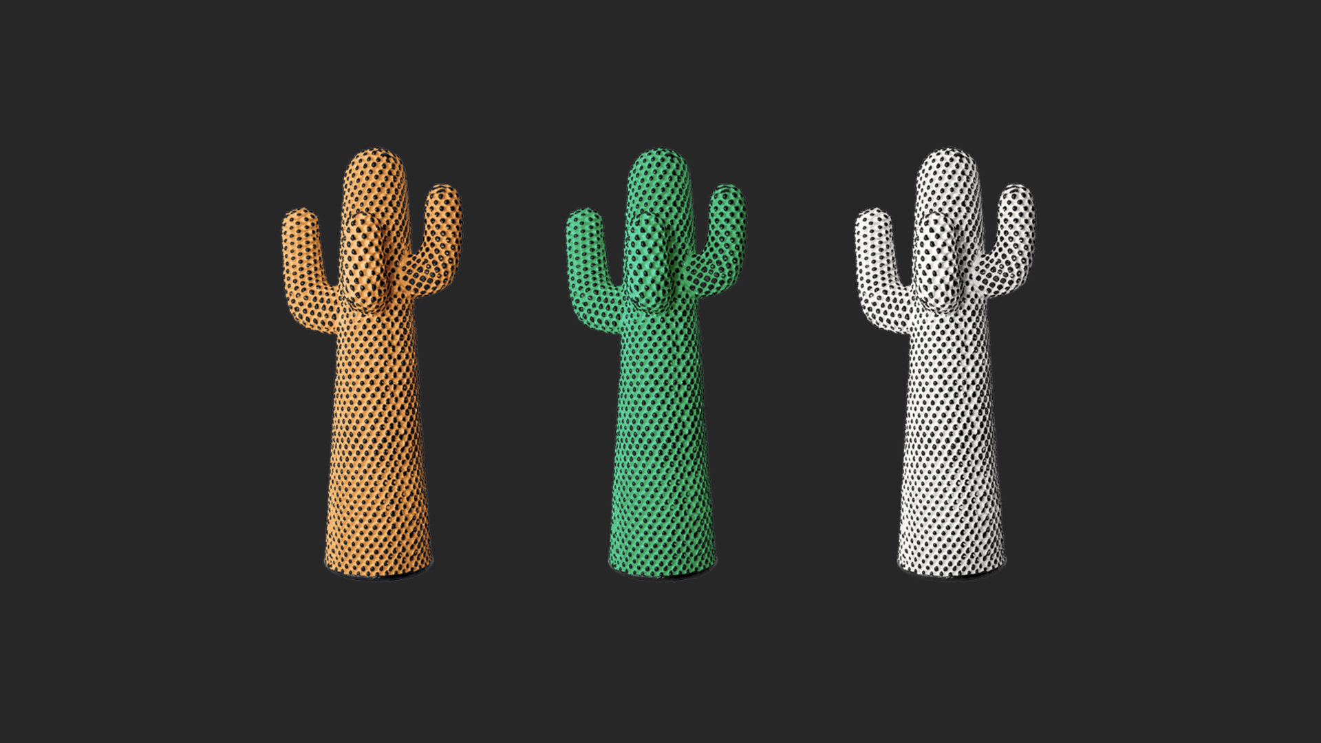 Andy's Cactus, Lifestyle